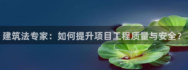 乐发旗下的平台有多少家