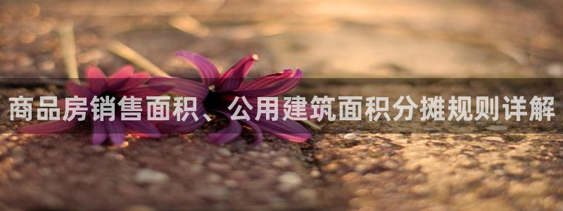 乐发所有平台都有哪些