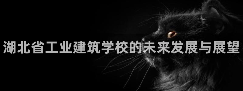 乐发III平台最新版本更新内容