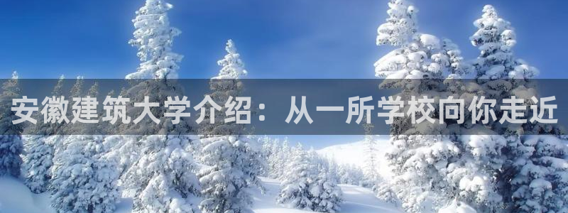 乐发平台注册地址在哪里