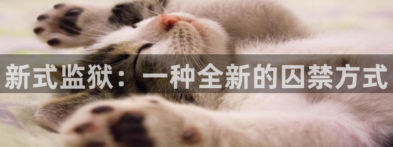 乐发传媒平台是查封了吗