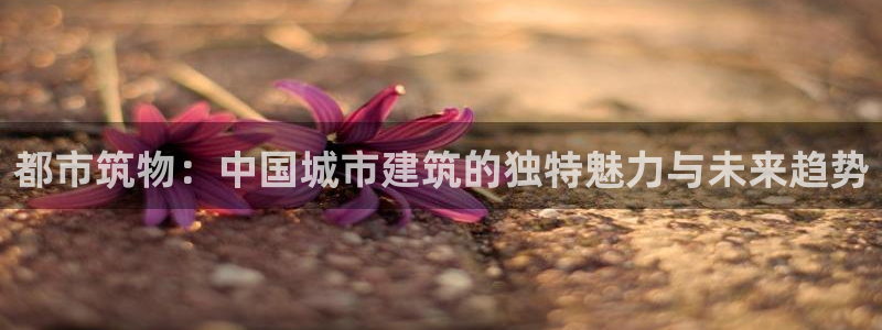 乐豪发娱乐平台