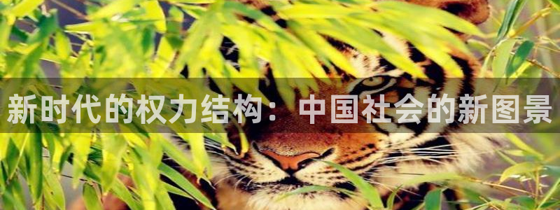 乐发III平台注册