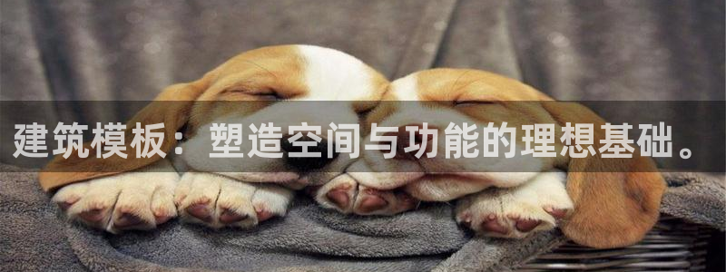 乐购平台发口罩