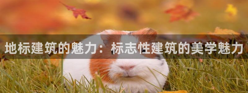 乐发平台下载官网app