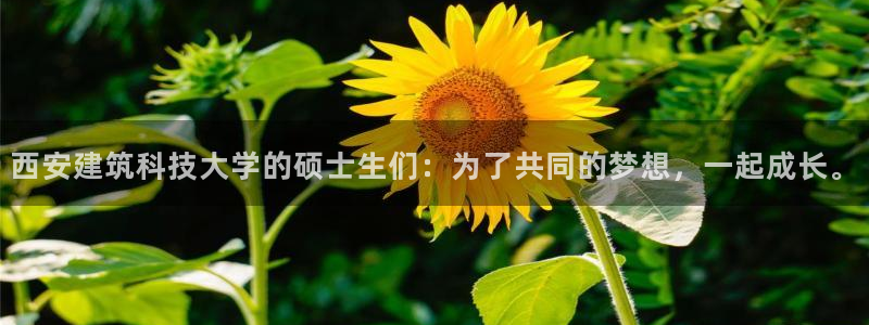 乐赚发圈平台是真的吗
