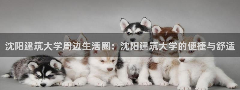 乐赚发圈平台：沈阳建筑大学周边生活圈：沈阳建筑大学的便捷与舒适