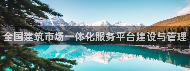 乐发乐发平台邀请码：全国建筑市场一体化服务平台建设与管理
