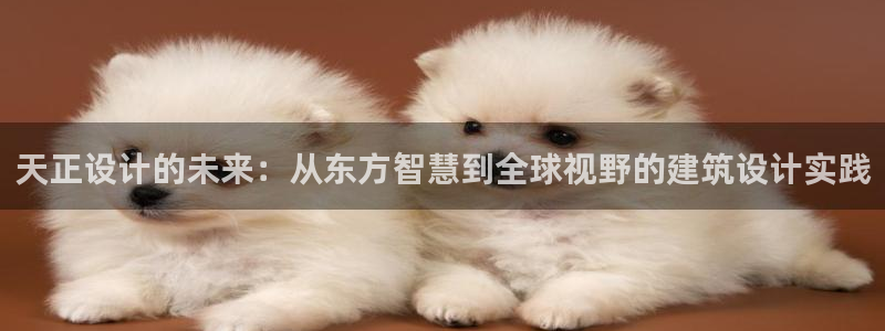 乐发vii平台：天正设计的未来：从东方智慧到全球视野的建筑设计实践