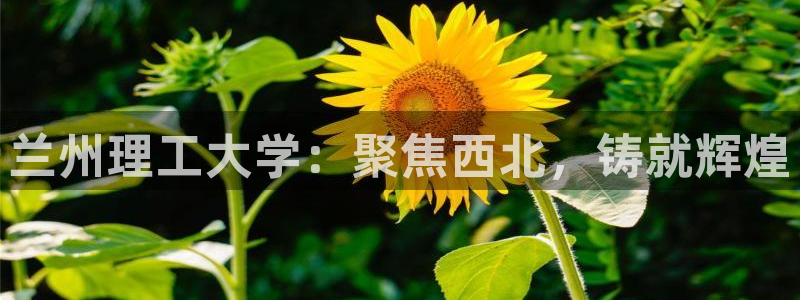 乐发体育平台怎么样知乎：兰州理工大学：聚焦西北，铸就辉煌