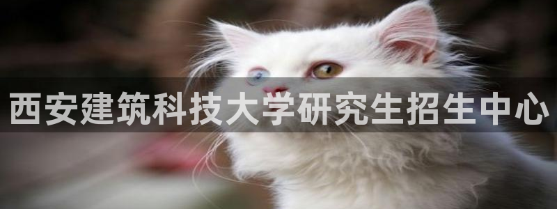 乐发平台邀请码是多少啊