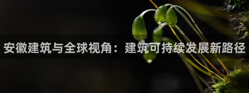 乐发平台为什么打不开了