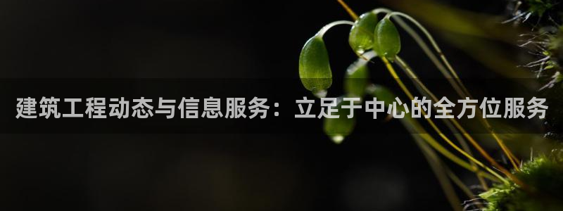 乐教乐学平台怎么发录音