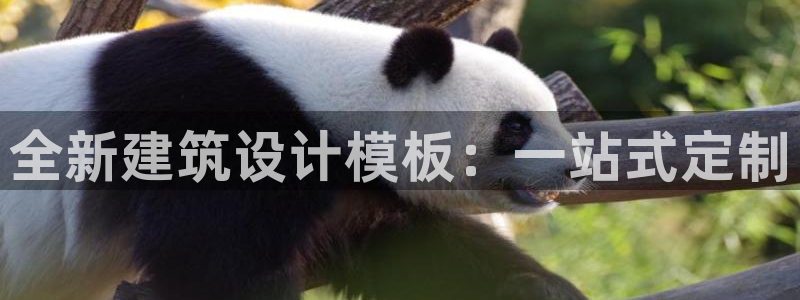 乐发彩票是什么平台啊：全新建筑设计模板：一站式定制