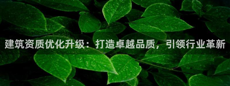 乐发彩票app平台大全