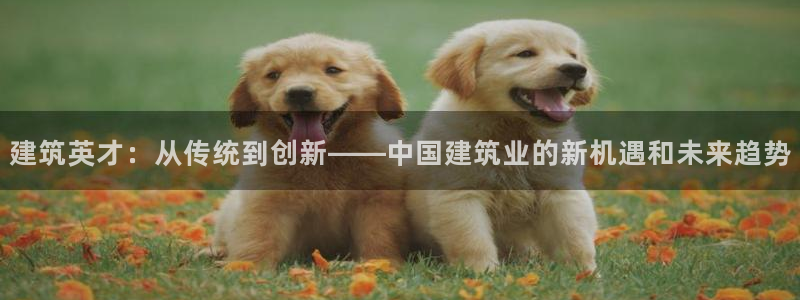 乐发体育平台官网登录