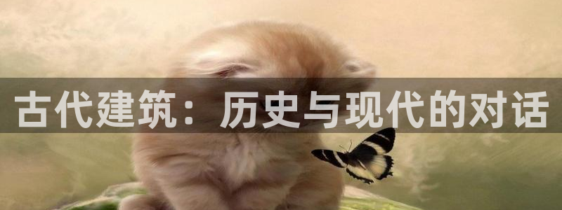 乐跑工资发平台还是卡里