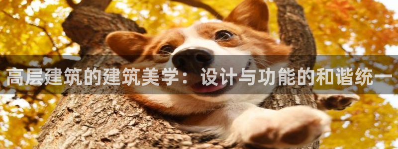 乐赚平台发圈app