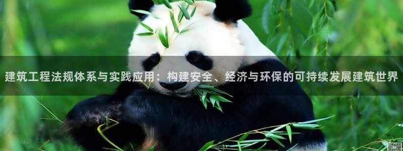 乐发平台注册地址是哪里