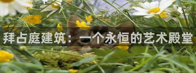 必乐2平台19发指尖