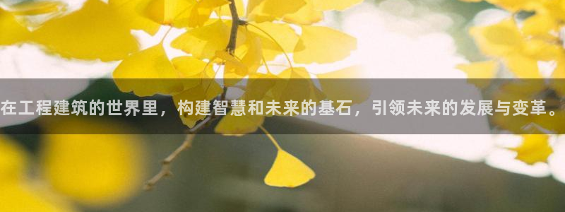 名发乐彩IV平台怎么样