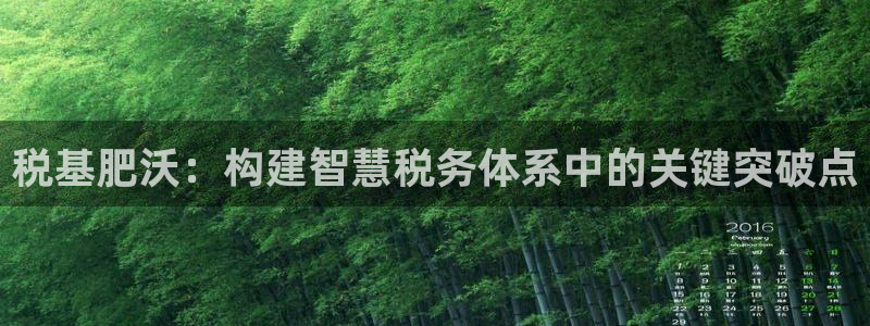 发发乐游戏平台：税基肥沃：构建智慧税务体系中的关键突破点